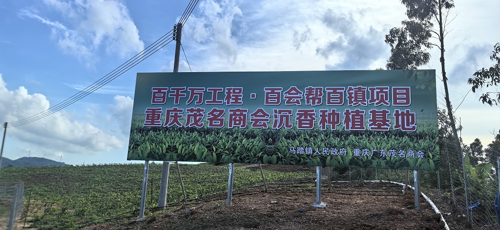 微信图片_20250915120637_83_155.jpg
