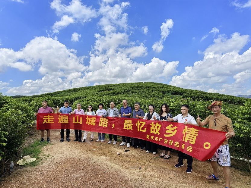 微信图片_20250914140545_243_51.jpg